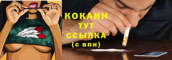 индика Абдулино