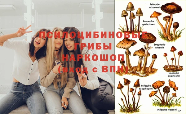 метадон Краснослободск