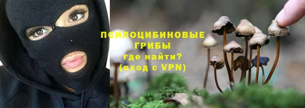 индика Абдулино