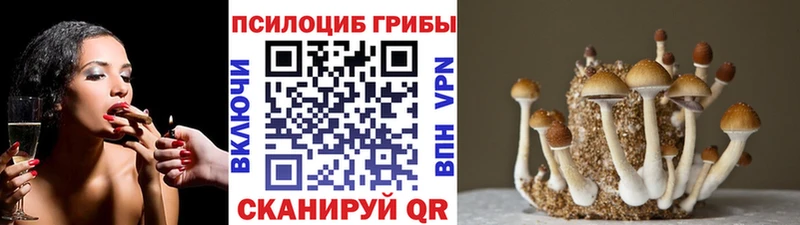 наркотики  Усолье  Галлюциногенные грибы мухоморы 